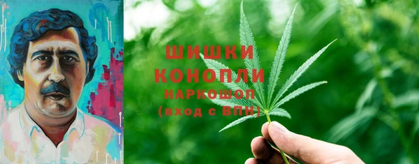 PSILOCYBIN Горнозаводск