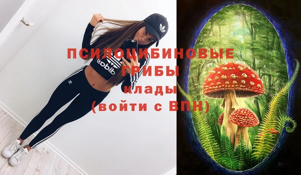 PSILOCYBIN Горнозаводск