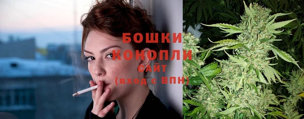 дживик Мегион