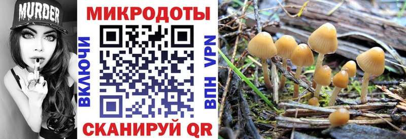 Псилоцибиновые грибы мицелий Лысково